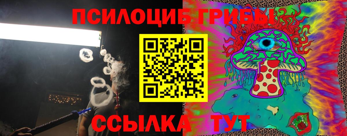 Псилоцибиновые грибы мицелий  Вход с VPN  Донской 